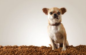 croquettes sans céréales pour chiot